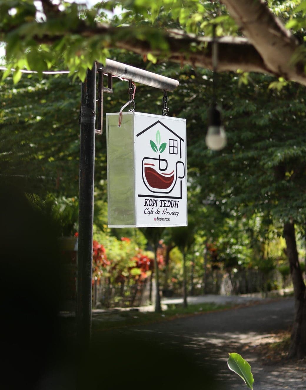 Papan nama Kopi Teduh Cafe & Roastery tergantung di bawah rimbun pepohonan