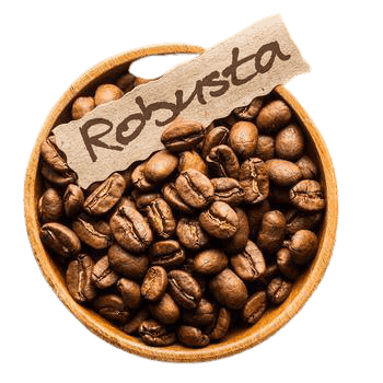 Robusta Sulawesi Lore